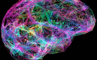 forscher entdecken möglichkeit, demenz-symptom umzukehren