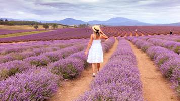 Ich habe unsere Entscheidung nie bereut: Marleen (64) lebt seit 16 Jahren in Tasmanien