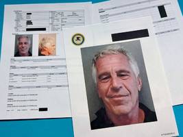 Fall Jeffrey Epstein: Die Behörden versagten nicht einmal, sondern praktisch immer