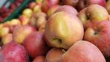 Ernährung: Gratis Obst und Milch: Bewerbungsstart für EU-Programm