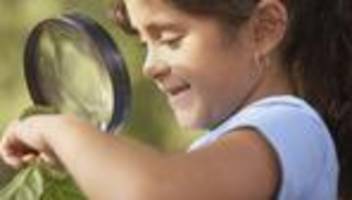 MINT-Bildung in Kitas: Forschen und Entdecken sollten in der Kita Pflicht sein