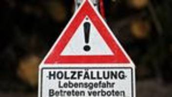 Statistik: Weniger tödliche Arbeitsunfälle in Sachsen-Anhalt 2025