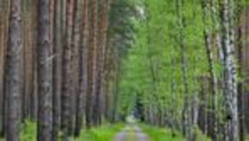 Vorsichtsmaßnahmen: Tipps für Waldspaziergänge