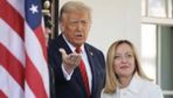 donald trump und giorgia meloni: trump attackiert meloni nach deren papst-verteidigung