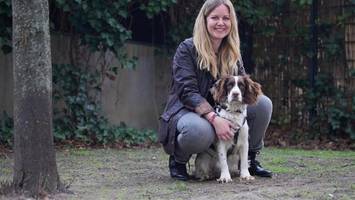 In Spanien ausgesetzt, in Mitte geliebt: Berlinerin adoptiert verstoßenen Jagdhund