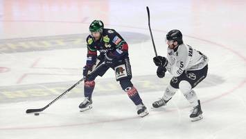 bei den eisbären wirkt jetzt sogar der doppelte x-faktor