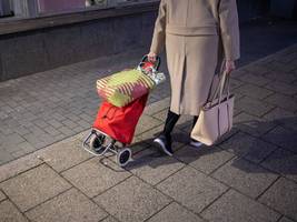 Altersvorsorge: Ökonomen kritisieren Riester-Reform