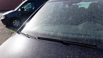 experte erklärt wetterphänomen in deutschland: was ist „blutregen“?