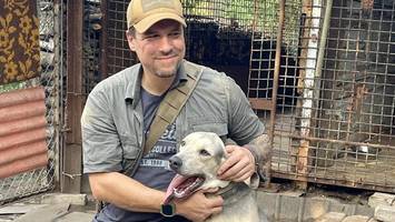 „Vor Panik Beine abgenagt“: Norderstedter rettet traumatisierte Hunde