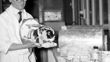 Kleine Astronautin: Félicette war die erste Katze im Weltall