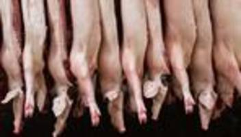 Bundesverfassungsgericht: Vorschriften für Fleischindustrie: Karlsruhe weist Klage ab