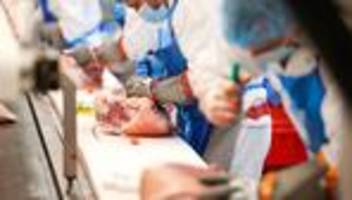 fleischindustrie: bundesverfassungsgericht bestätigt werkvertragsverbot in schlachthöfen