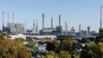 Forschungsprojekt: Gesucht: Bäume für die Stadt von morgen