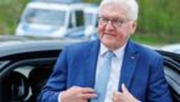 Gestrandeter Buckelwal: Steinmeier ruft zu Mäßigung in Wal-Debatte auf