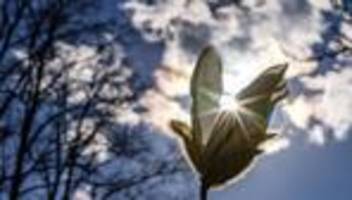 Wettervorhersage: Sonne und bis zu 21 Grad