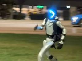 alle mögen mich: roboter vertreibt wildschweine in warschau