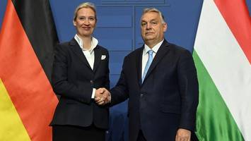 Viktor Orban stürzt – was macht die AfD ohne ihre Leitfigur?