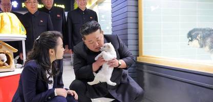 nordkorea - iaea-chef: kapazitäten zum bau von atomwaffen »sehr deutlich gestiegen«