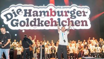 buch über hamburger goldkehlchen schießt bei thalia auf platz vier der charts