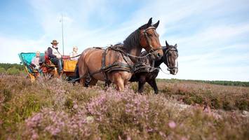 Niedergang der Heidekutscher? So reagiert der Naturpark