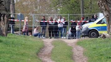 timmy, der wal, stirbt. also lasst ihn endlich in ruhe!