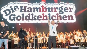 buch über hamburger goldkehlchen schießt bei thalia auf platz vier der charts