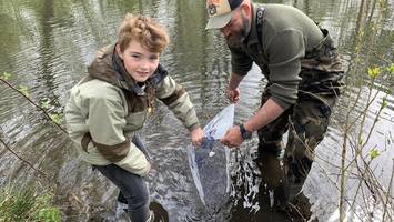 forscher setzen bille unter strom, um fische an der wasseroberfläche zu zählen