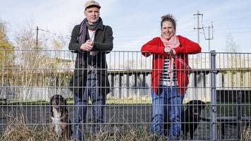 Hundehalter in Sorge: Bald kein Platz mehr für Labrador und Co. in der HafenCity?