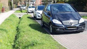 Posse in Rahlstedt: Holzpoller sorgen seit neun Monaten für Dauerdiskussion