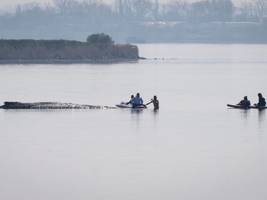 Biologie: Buckelwal in der Ostsee – Experten kritisieren Bergungspläne