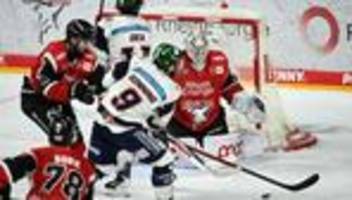 Deutsche Eishockey Liga: Trotz Niederlage: Eisbären-Coach Aubin »stolz« auf sein Team
