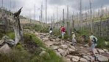 Freizeit: Sicher unterwegs im Harz: Was Wanderer beachten sollten