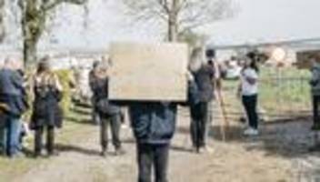 Gestrandeter Buckelwal in der Ostsee: »Luftkissen!«