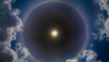 Künstliche Intelligenz: Anthropic könnte 2026 mehr Umsatz machen als OpenAI