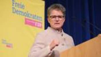 Wahlkampf: FDP setzt im Wahlkampf auf Wirtschaft und Bürokratieabbau