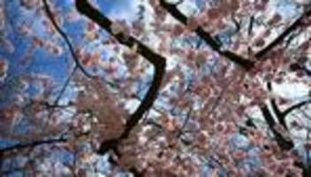 Wetter-Aussichten: Regen, Sonne, Nebel: wechselhaftes Wetter in Hessen