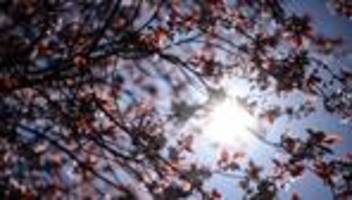 Wetterbericht: Bevor der Regen kommt: Wo es im Südwesten wärmer wird