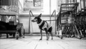 Steigende Lebenshaltungskosten: Werden jetzt auch Lebensmittel teurer?