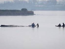 Rettungsaktion gestartet: Minister Backhaus: Der Wal hat eine Chance