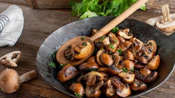 heuschrecke zum frühstück? dr. riedl verrät, was bald auf unserem teller landet