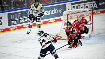 Die Eisbären werden zum Team für die speziellen Momente