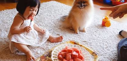 sony world photography awards: das sind die preisgekrönten fotos