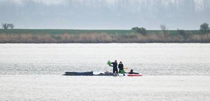 wal in der ostsee: mit tüchern abgedeckt, rettungsversuch verzögert sich