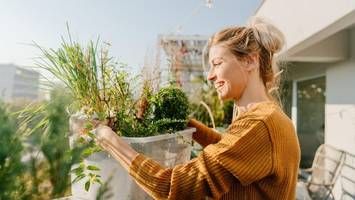 welche kräuter passen zusammen? die wichtigsten regeln für balkon und beet