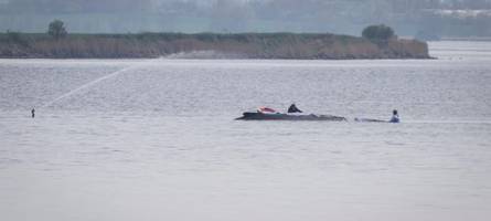 timmys wohl letzte chance: kann dem wal noch geholfen werden?