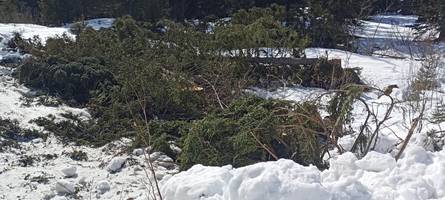 Liftbau am Fellhorn: CSU und Freie Wähler lehnen Stopp des Sofortvollzugs im Landtag ab