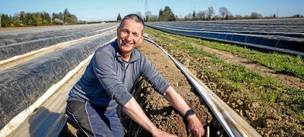 „Der Preis ist entscheidend“: In Augsburg hat die Spargelsaison früher als sonst begonnen