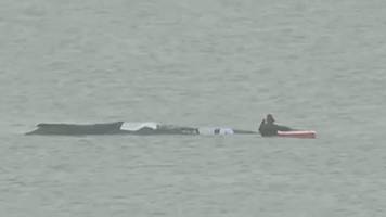 ostsee-walrettung von der wismarbucht im live-ticker