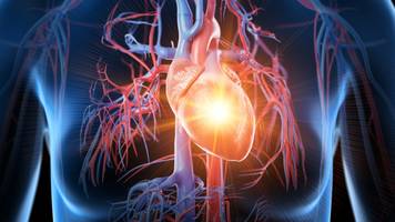 fettanalyse sagt 5 jahre vor symptomen, ob ihr herz erkrankt