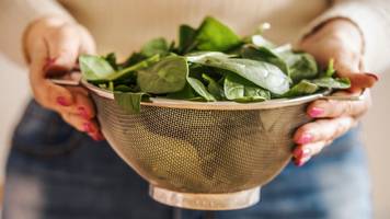 stoff aus spinat macht abwehrzellen stark gegen krebs